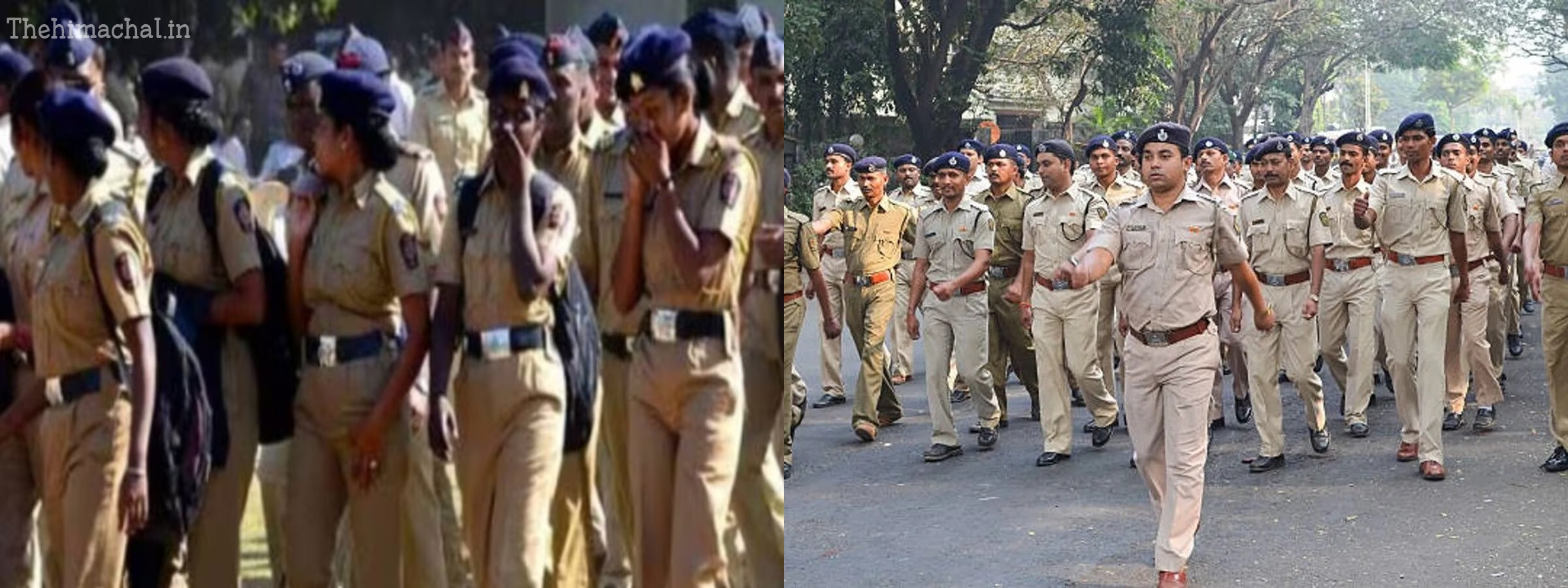 हिमाचल पुलिस अब कांस्टेबल के बजाय कमांडो की भर्ती करेगी, और इस संबंध में कई पदों को भरा जाएगा।