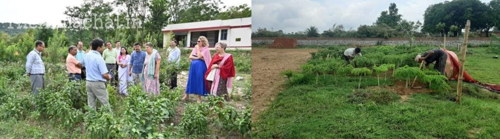 himachal-natural-farming-mission-161-crore-funding Description: हिमाचल प्रदेश को नेचुरल फार्मिंग मिशन के तहत 161 करोड़ रुपये का वित्तीय सहायता मिलना तय है। यह योजना राज्य में प्राकृतिक खेती को बढ़ावा देने और किसानों की आय में सुधार के लिए महत्वपूर्ण कदम साबित होगी।