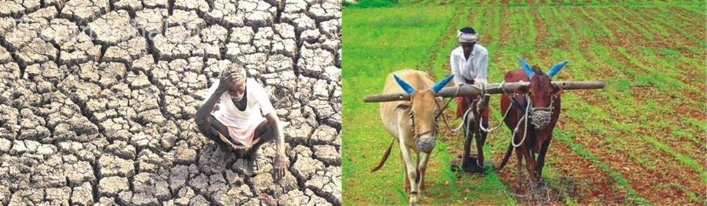 himachal-drought-25-percent-crop-reduction-expected