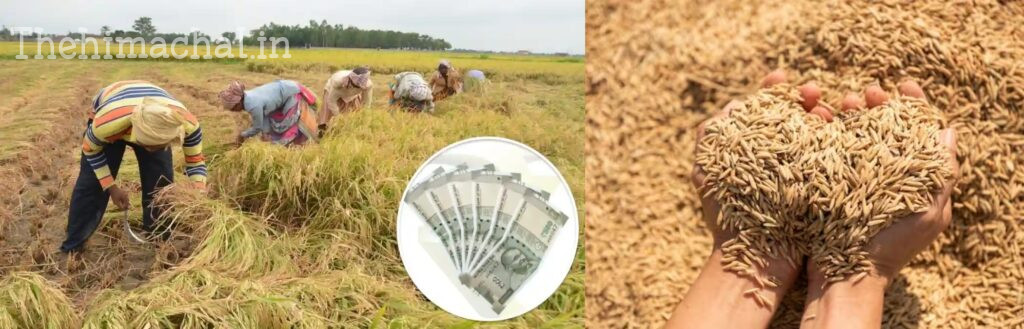 farmers-rice-payment-76-crore-2320-per-quintal-price