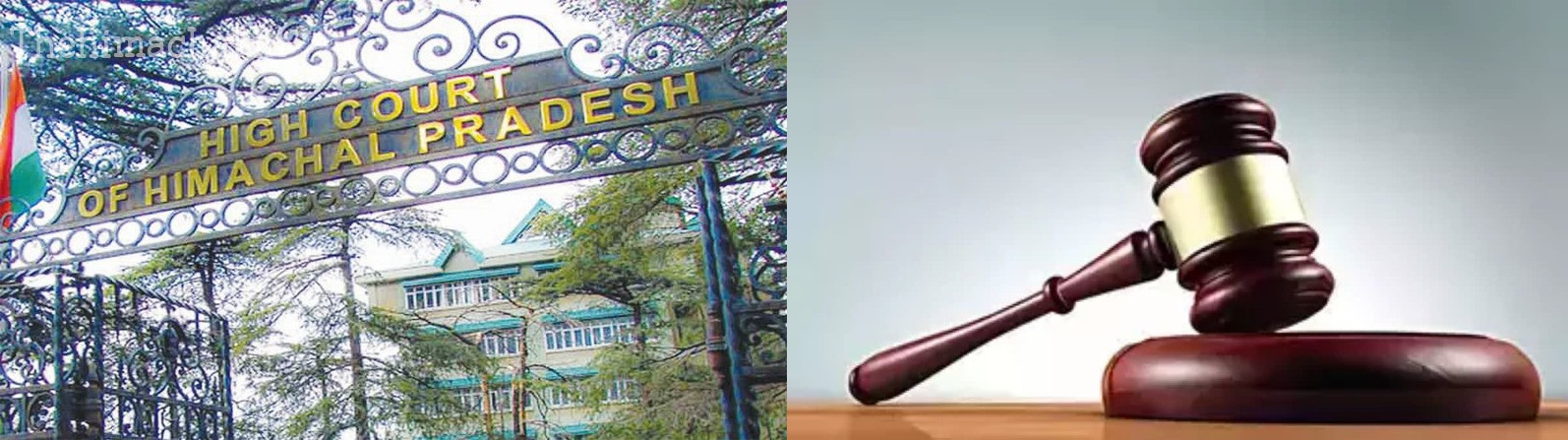 himachal-high-court-cancels-five-pump-operators-appointments