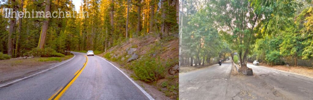 pwd-restores-80-percent-roads-himachal-4-5-crore-loss