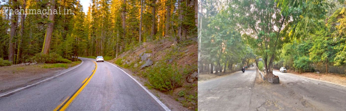 pwd-restores-80-percent-roads-himachal-4-5-crore-loss