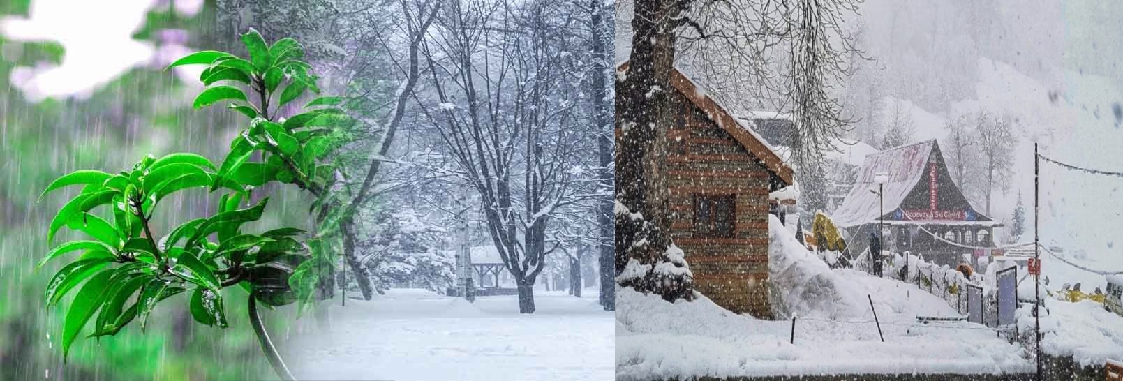 himachal-weather-alert-rain-snowfall